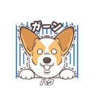 うちのイヌなど(コーギー)ver.ハク（個別スタンプ：21）