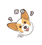 うちのイヌなど(コーギー)ver.ハク（個別スタンプ：22）