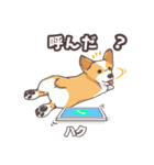 うちのイヌなど(コーギー)ver.ハク（個別スタンプ：23）