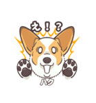 うちのイヌなど(コーギー)ver.ハク（個別スタンプ：24）