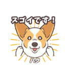 うちのイヌなど(コーギー)ver.ハク（個別スタンプ：25）
