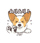 うちのイヌなど(コーギー)ver.ハク（個別スタンプ：26）