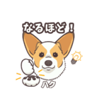 うちのイヌなど(コーギー)ver.ハク（個別スタンプ：27）