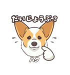 うちのイヌなど(コーギー)ver.ハク（個別スタンプ：30）