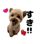 クマプーの茶々 2（個別スタンプ：12）