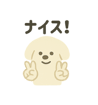 ふんわり犬の毎日つかえる言葉（個別スタンプ：12）