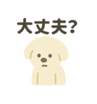 ふんわり犬の毎日つかえる言葉（個別スタンプ：17）
