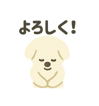 ふんわり犬の毎日つかえる言葉（個別スタンプ：24）