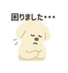 ふんわり犬の毎日つかえる言葉（個別スタンプ：34）
