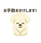 ふんわり犬の毎日つかえる言葉（個別スタンプ：36）