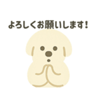 ふんわり犬の毎日つかえる言葉（個別スタンプ：37）