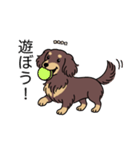 名前入りダックスロングチョコイエロー（個別スタンプ：1）