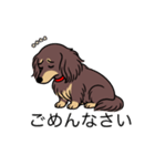 名前入りダックスロングチョコイエロー（個別スタンプ：2）