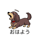 名前入りダックスロングチョコイエロー（個別スタンプ：3）