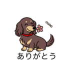 名前入りダックスロングチョコイエロー（個別スタンプ：5）