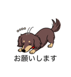 名前入りダックスロングチョコイエロー（個別スタンプ：7）