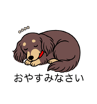 名前入りダックスロングチョコイエロー（個別スタンプ：9）