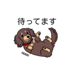 名前入りダックスロングチョコイエロー（個別スタンプ：10）