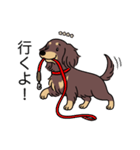 名前入りダックスロングチョコイエロー（個別スタンプ：11）