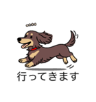 名前入りダックスロングチョコイエロー（個別スタンプ：13）