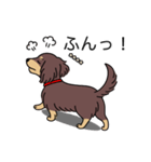 名前入りダックスロングチョコイエロー（個別スタンプ：14）