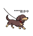 名前入りダックスロングチョコイエロー（個別スタンプ：17）