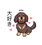 名前入りダックスロングチョコイエロー（個別スタンプ：18）