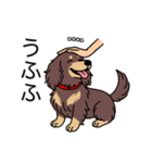 名前入りダックスロングチョコイエロー（個別スタンプ：19）