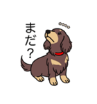 名前入りダックスロングチョコイエロー（個別スタンプ：20）