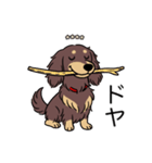 名前入りダックスロングチョコイエロー（個別スタンプ：21）