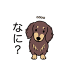 名前入りダックスロングチョコイエロー（個別スタンプ：22）