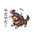 名前入りダックスロングチョコイエロー（個別スタンプ：23）