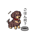 名前入りダックスロングチョコイエロー（個別スタンプ：24）