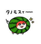 ハムスイカ（個別スタンプ：13）