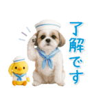 ⚡飛び出すシーズーの「夏」の毎日（個別スタンプ：2）