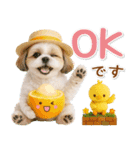 ⚡飛び出すシーズーの「夏」の毎日（個別スタンプ：4）