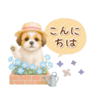 ⚡飛び出すシーズーの「夏」の毎日（個別スタンプ：6）