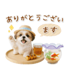 ⚡飛び出すシーズーの「夏」の毎日（個別スタンプ：9）