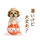 ⚡飛び出すシーズーの「夏」の毎日（個別スタンプ：10）