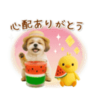 ⚡飛び出すシーズーの「夏」の毎日（個別スタンプ：11）