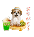 ⚡飛び出すシーズーの「夏」の毎日（個別スタンプ：12）