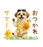 ⚡飛び出すシーズーの「夏」の毎日（個別スタンプ：13）