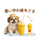 ⚡飛び出すシーズーの「夏」の毎日（個別スタンプ：16）