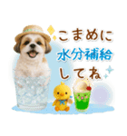 ⚡飛び出すシーズーの「夏」の毎日（個別スタンプ：19）