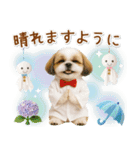 ⚡飛び出すシーズーの「夏」の毎日（個別スタンプ：22）
