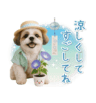⚡飛び出すシーズーの「夏」の毎日（個別スタンプ：24）