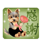 【ヨーキーのおうち】動くよ！Pop-Up（個別スタンプ：2）