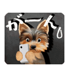 【ヨーキーのおうち】動くよ！Pop-Up（個別スタンプ：3）
