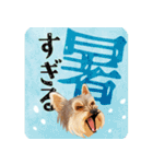 【ヨーキーのおうち】動くよ！Pop-Up（個別スタンプ：9）