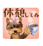 【ヨーキーのおうち】動くよ！Pop-Up（個別スタンプ：10）